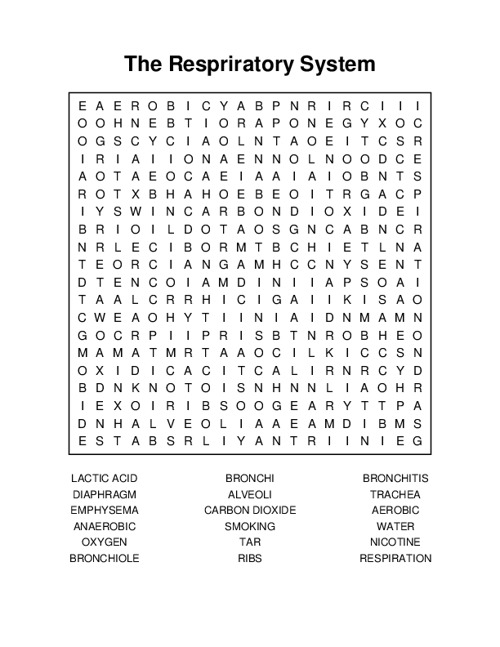 The Respriratory System Word Search Puzzle