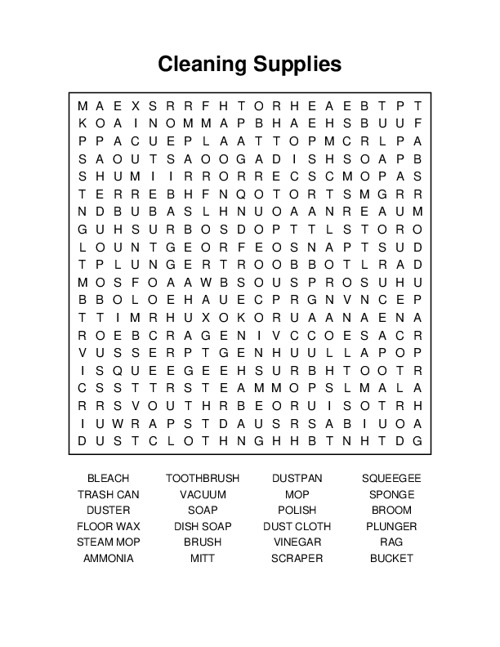 Cleaning Supplies Word Search Puzzle