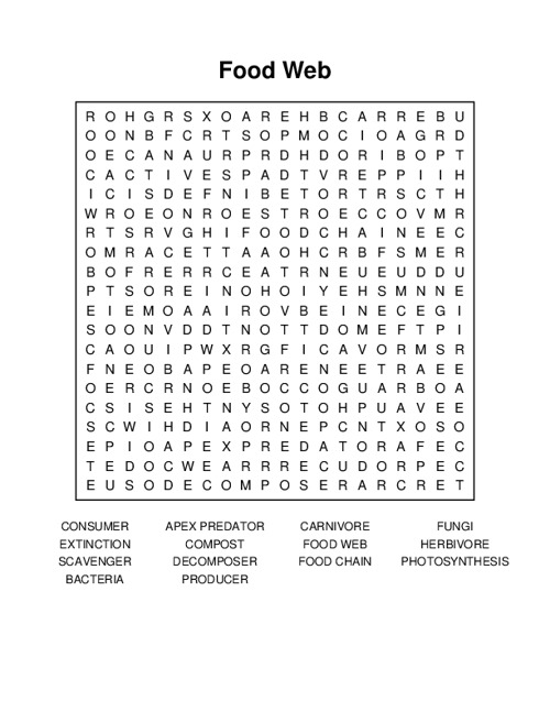 Food Web Word Search Puzzle
