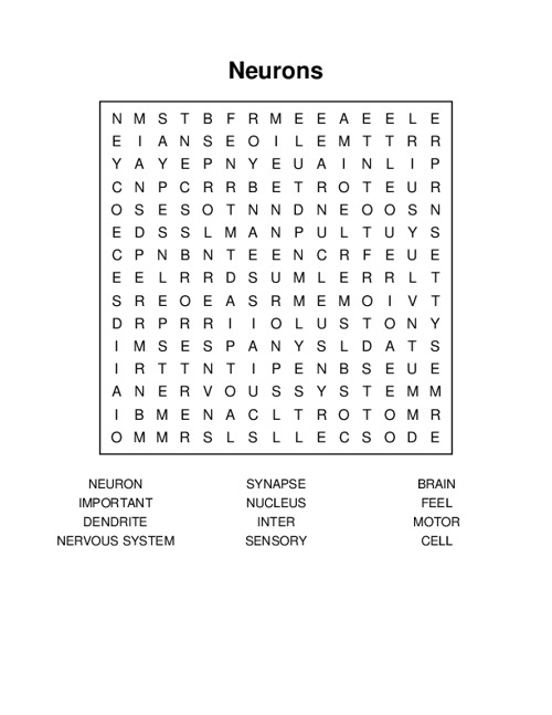 Neurons Word Search Puzzle