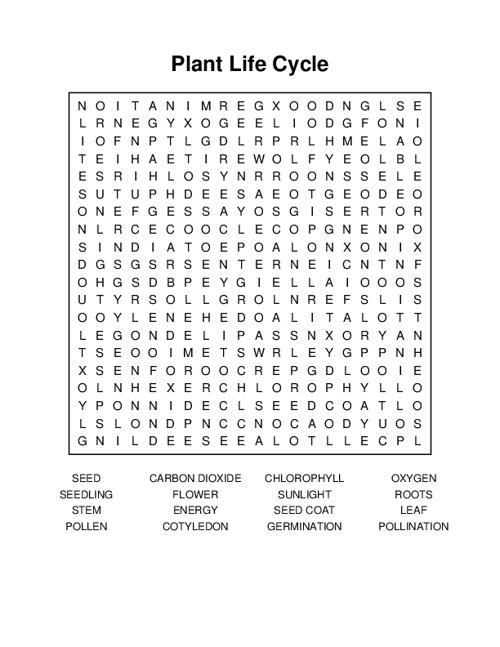 Plant Life Cycle Word Search Puzzle