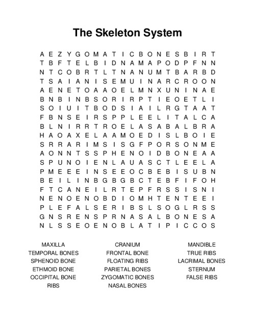 The Skeleton System Word Search Puzzle