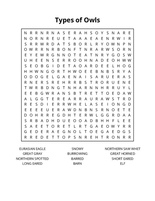 Types of Owls Word Search Puzzle