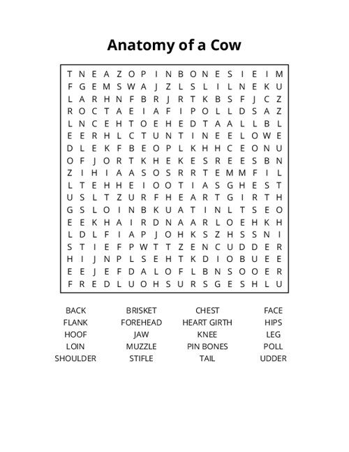 Anatomy of a Cow Word Search Puzzle
