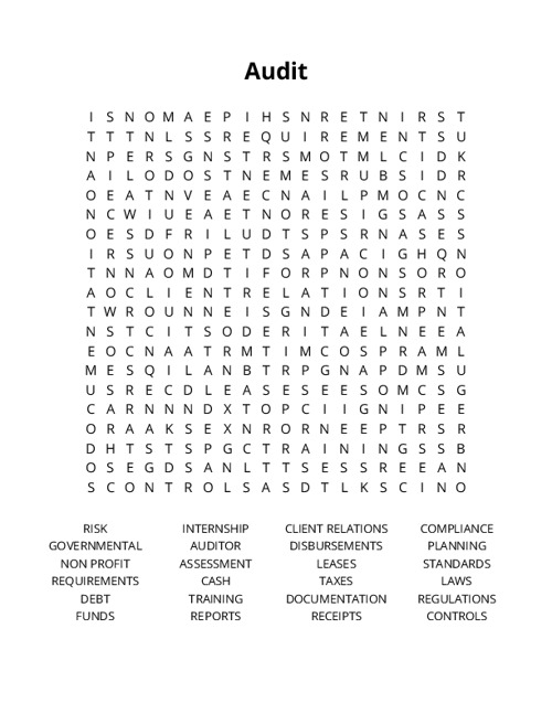 Audit Word Search Puzzle