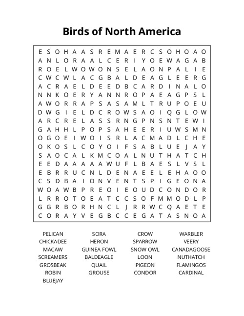 Birds of North America Word Search Puzzle