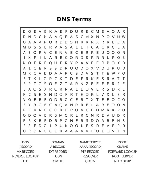 DNS Terms Word Search Puzzle