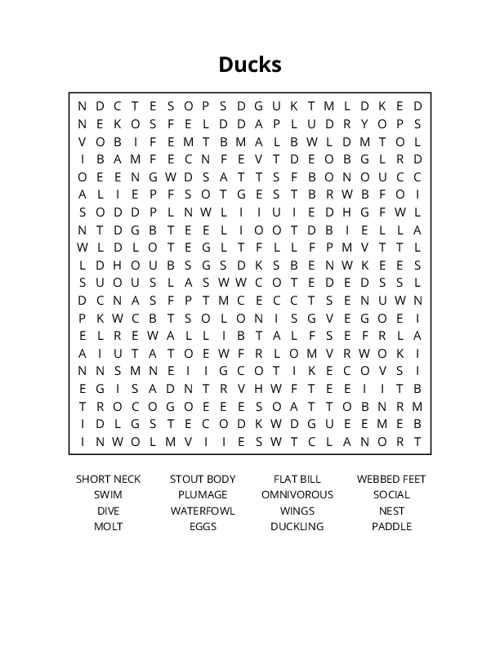 Ducks Word Search Puzzle