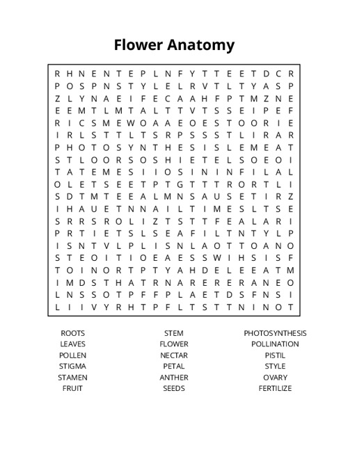 Flower Anatomy Word Search Puzzle