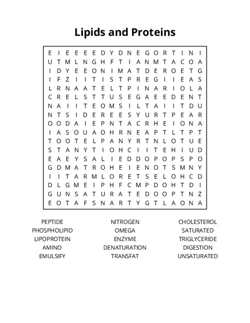 Lipids and Proteins Word Search Puzzle
