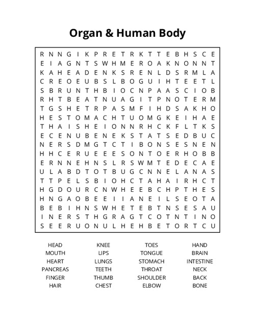 Organ & Human Body Word Search Puzzle