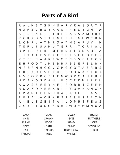 Parts of a Bird Word Search Puzzle