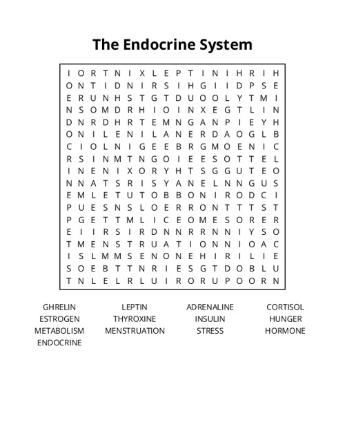 The Endocrine System Word Search Puzzle