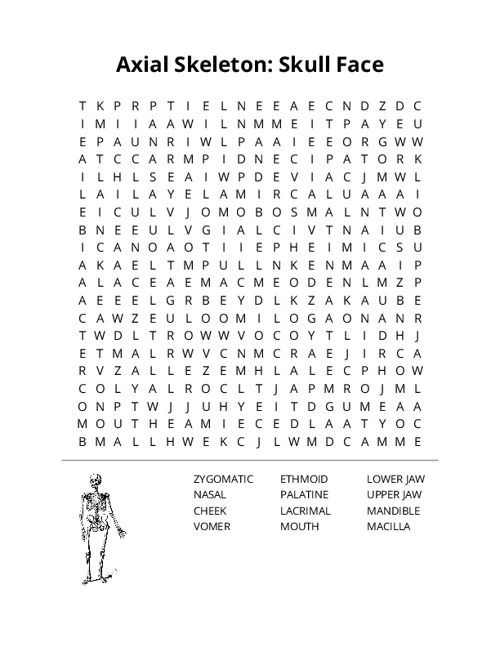 Axial Skeleton: Skull Face Word Search Puzzle