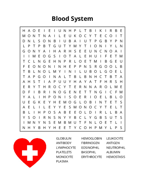 Blood System Word Search Puzzle