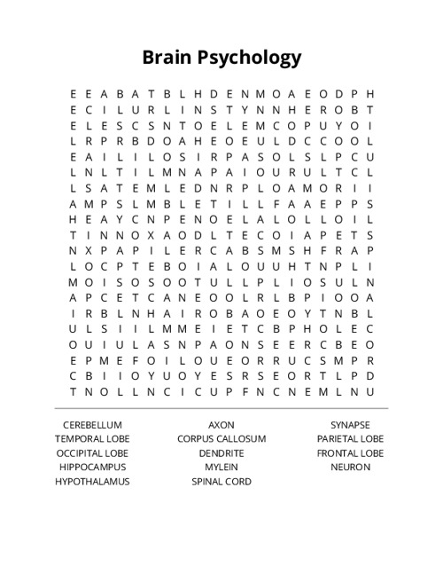 Brain Psychology Crossword Puzzle