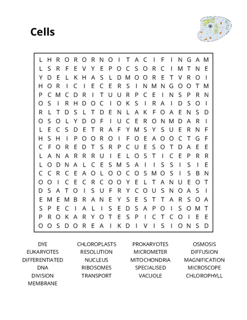 Cells Word Search Puzzle