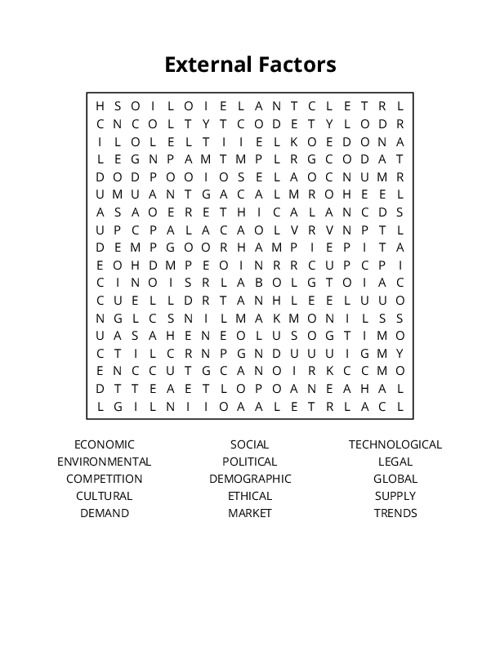 External Factors Word Search Puzzle