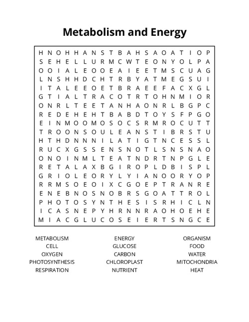 Metabolism and Energy Word Search Puzzle