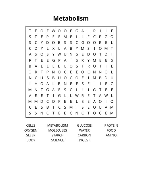 Metabolism Word Search Puzzle