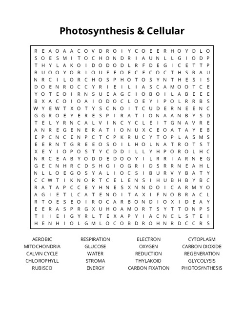 Photosynthesis & Cellular Respiration Word Search Puzzle