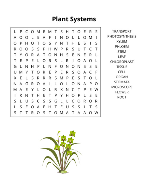 Plant Systems Word Search Puzzle