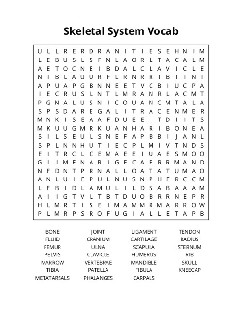 Skeletal System Vocab Word Search Puzzle