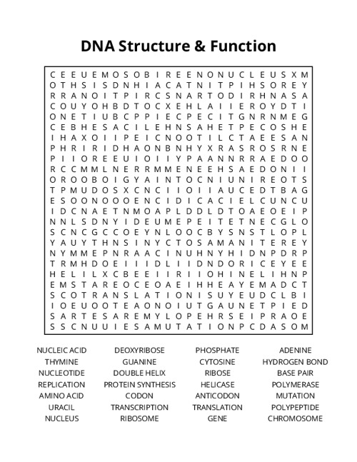 DNA Structure & Function Word Search Puzzle