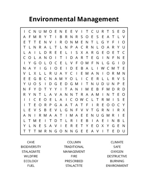 Environmental Management Word Search Puzzle