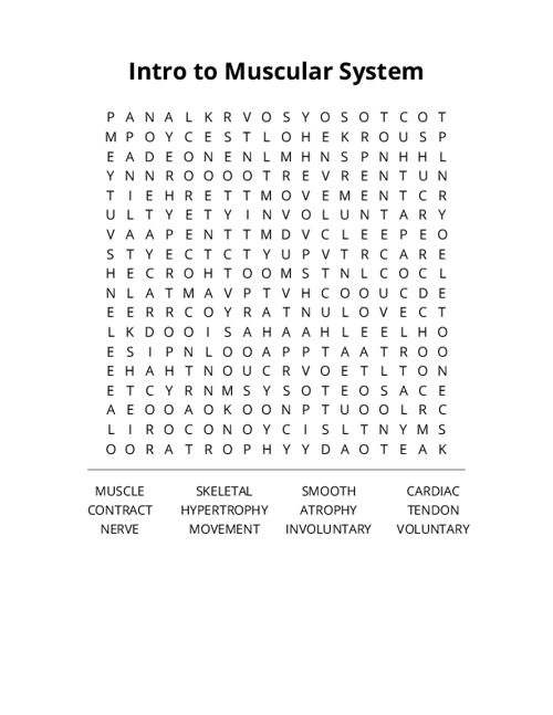Intro to Muscular System Word Search Puzzle