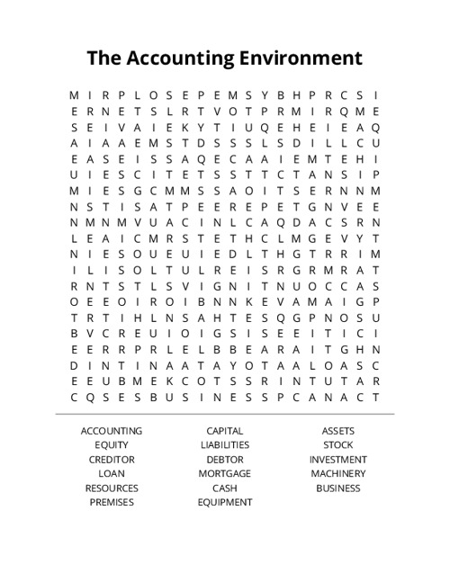 The Accounting Environment Word Search Puzzle