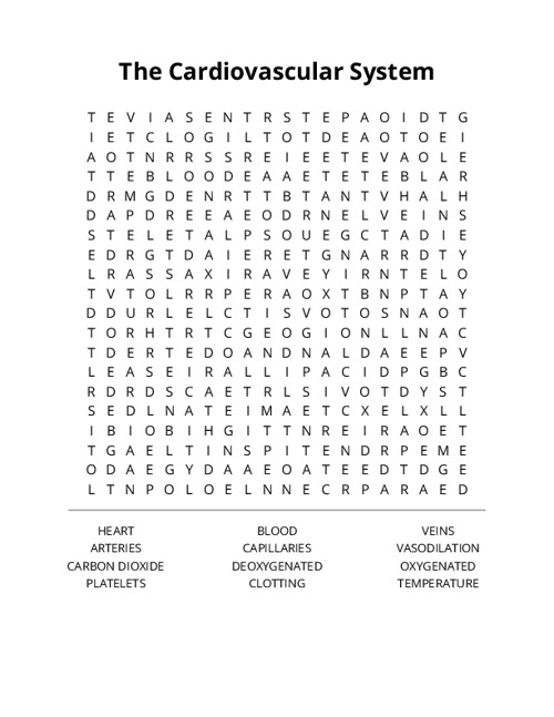 The Cardiovascular System Word Search Puzzle