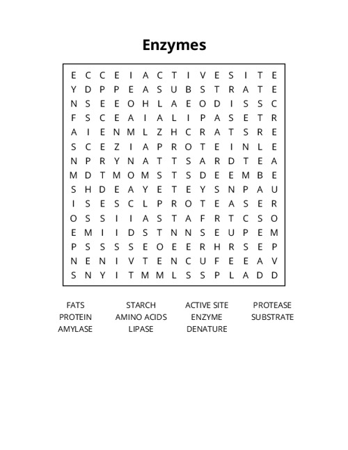 Enzymes Word Search Puzzle