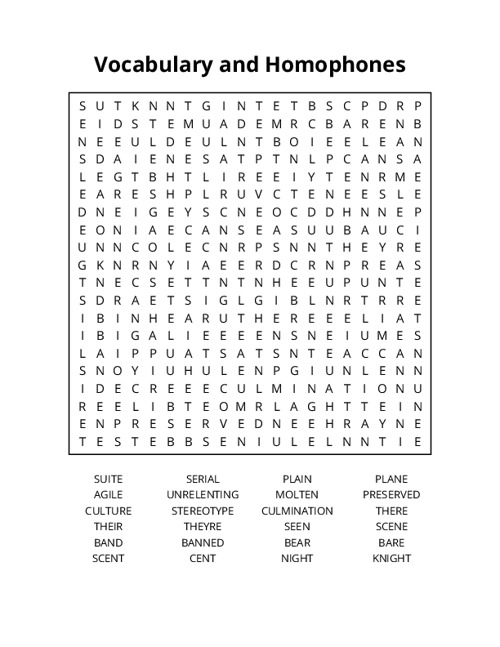 Vocabulary and Homophones Word Search Puzzle