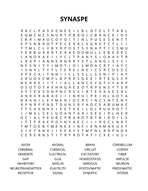 SYNASPE Word Search Puzzle