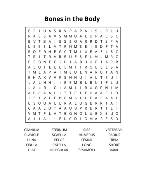 Bones in the Body Word Search Puzzle