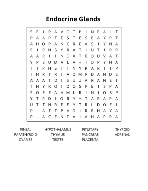 Endocrine Glands Word Search Puzzle