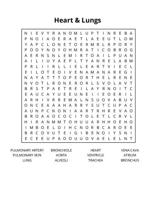 Heart & Lungs Word Search Puzzle