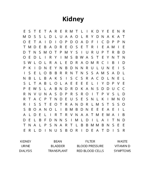 Kidney Word Search Puzzle
