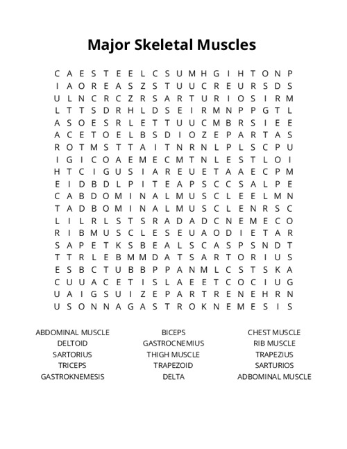Major Skeletal Muscles Crossword Puzzle