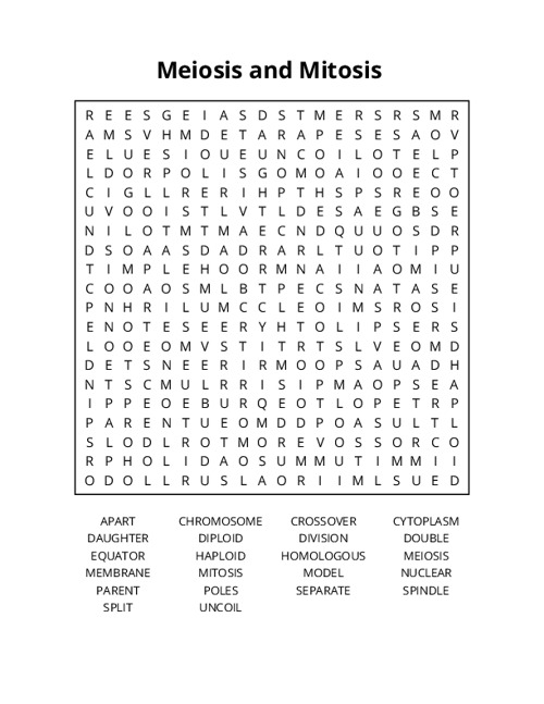 Meiosis and Mitosis Crossword Puzzle