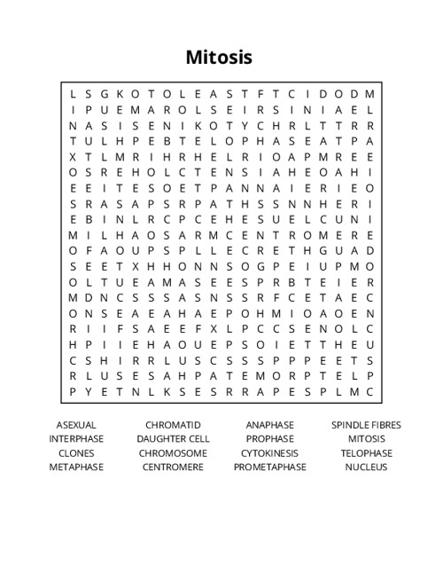 Mitosis Crossword Puzzle