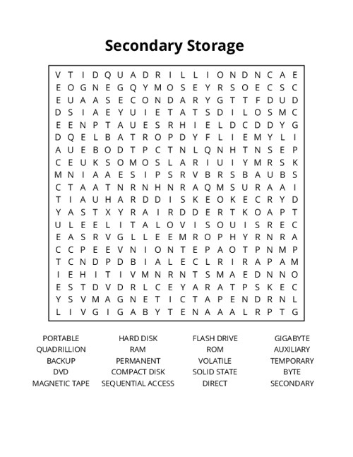 Secondary Storage  Word Search Puzzle
