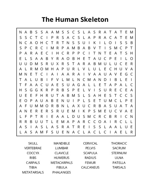 The Human Skeleton Word Search Puzzle