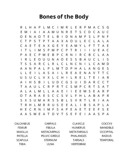 Bones of the Body Word Search Puzzle