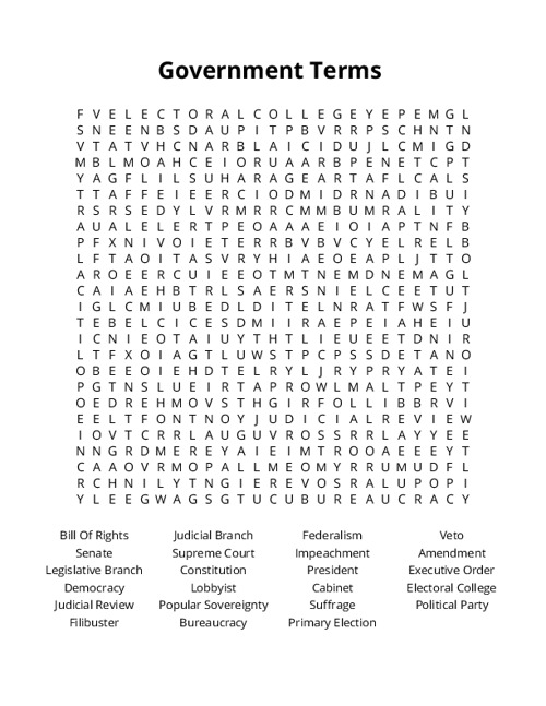 Government Terms Word Search Puzzle