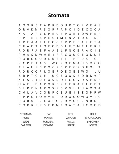 Stomata Crossword Puzzle