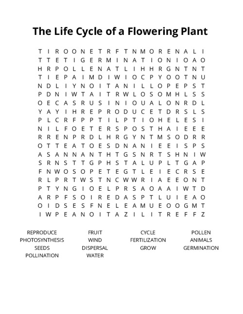 The Life Cycle of a Flowering Plant Crossword Puzzle