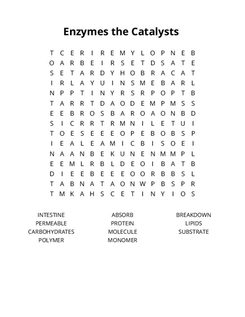 Enzymes the Catalysts Word Search Puzzle