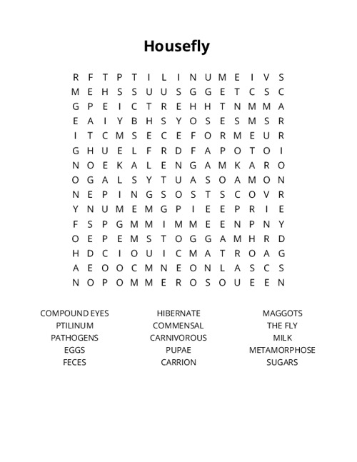 Housefly Word Search Puzzle